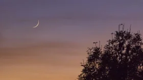 চাঁদ দেখা গেছে, ঈদুল আজহা ৭ জুন