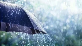 ৭ বিভাগে ভারী বৃষ্টিপাতের আভাস, ভূমিধসের আশঙ্কা