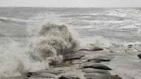 স্থলভাগে নিম্নচাপ, ভারী বৃষ্টি হতে পারে আজও