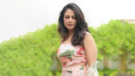 বাণিজ্যিক সিনেমা থেকে কোয়েলের বিদায়