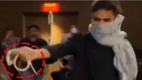 সিনেমা হলে সাপ, আতঙ্কে দর্শকদের ছোটাছুটি