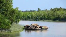 সুন্দরবনে প্রবেশে তিন মাসের নিষেধাজ্ঞা
