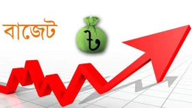 বাজেটে যেসব পণ্যের দাম বাড়তে পারে 