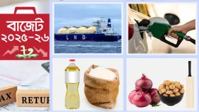 বাজেটে যে সব পণ্যের দাম কমতে পারে