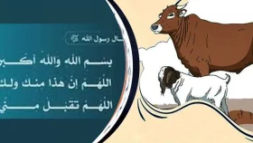 কোরবানির পশু কেনার পর ও জবাইয়ের সময় যে দোয়া পড়বেন