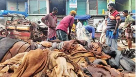 পশুর চামড়া ব্যবস্থাপনায় বিসিকের কড়া নির্দেশনা