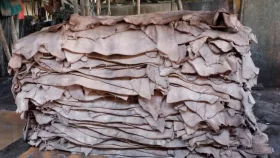 এবারও হতাশ চামড়া ব্যবসায়ীরা