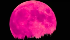 কাল আকাশে দেখা যাবে বিরল ‘স্ট্রবেরি মুন’