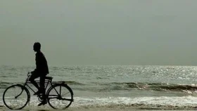 বেশি বেশি সাইকেল চালালে কমবে মানসিক চাপ