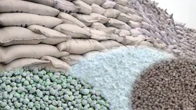 ৮৫০ কোটি টাকার সার কিনবে সরকার