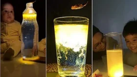 অন্ধকারে জ্বলে উঠছে সোনালি আলো, কী এই গ্লোয়িং ওয়াটার রহস্য