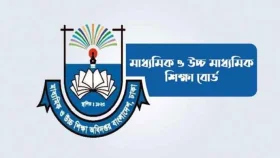 শিক্ষক ও সরকারি কর্মকর্তাদের সামাজিক যোগাযোগমাধ্যম ব্যবহারে নতুন নির্দেশনা