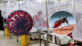 ডেঙ্গু ও করোনা চিকিৎসায় স্বাস্থ্য অধিদপ্তরের নতুন নির্দেশনা