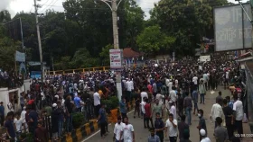 আন্দোলন ছড়িয়ে পড়েছিল সব বিশ্ববিদ্যালয়ে