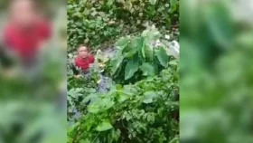 ছাত্র-জনতার ভয়ে সাবেক মেয়রের ডোবায় ঝাঁপ!