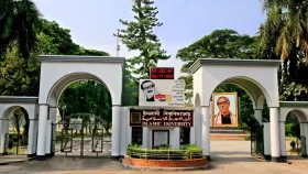 যৌন হয়রানির অভিযোগ ইবি শিক্ষকবরখাস্ত