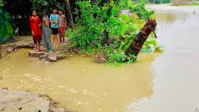 সোনাগাজীতে ফের নদীভাঙন, ধসে পড়লো তিন সড়ক