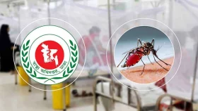 ডেঙ্গুতে আরও ৩ জনের মৃত্যু, হাসপাতালে ভর্তি ৩৩১