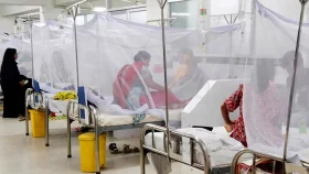 ডেঙ্গুতে আরও একজনের মৃত্যু, হাসপাতালে ভর্তি ৩৯৪