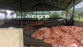 টেকনাফ স্থলবন্দরে নষ্ট হচ্ছে পণ্য, রাজস্ব হারাচ্ছে সরকার 