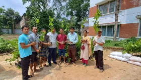 পাহাড়িদের অর্থনৈতিক মুক্তির পথ দেখাচ্ছে কফি ও কাজুবাদাম