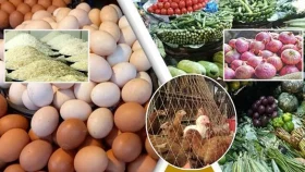 সবজি-পেঁয়াজ-মুরগির দাম বাড়তি