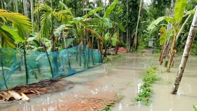 বেড়িবাঁধ না থাকায় জোয়ারের পানিতে ২০ গ্রাম প্লাবিত