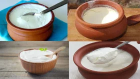 নিয়ম মেনে দই খান, উপকার পান