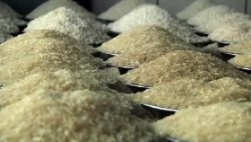 মূল্যস্ফীতি কমলেও লাগামহীন চালের বাজার