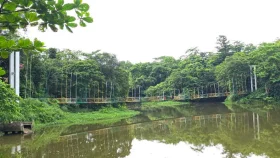 প্রাকৃতিক সৌন্দর্যে মুগ্ধতা ছড়াচ্ছে বাঁশখালী ইকোপার্ক    