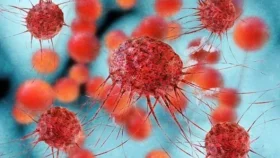 ক্যান্সার প্রতিরোধের ৬ উপায়