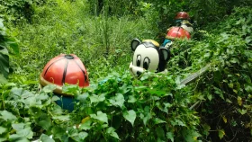 বন-জঙ্গলে রুপ নিয়েছে মানিকগঞ্জের মুক্তিযোদ্ধা শিশুপার্ক!  