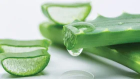 চুলে অ্যালোভেরা ব্যবহার করেন? জেনে নিন কী হয়