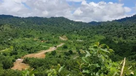 সীমান্তে মাইন বিস্ফোরণে তরুণীর পা বিচ্ছিন্ন