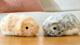 জাপানে নারীদের সঙ্গী এআই রোবট