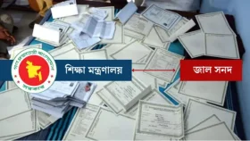 সাড়ে তিন শতাধিক শিক্ষকের জাল সনদের তথ্য পেয়েছে ডিআইএ