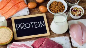 অতিরিক্ত প্রোটিন সেবনে হতে পারে কিডনির ক্ষতি