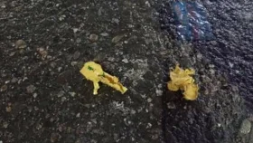 ফার্মগেট ও খামারবাড়িতে ককটেল বিস্ফোরণ