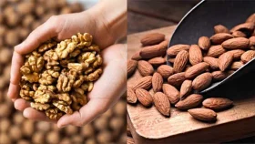 আখরোট না বাদাম, স্মৃতিশক্তি বাড়াতে কোনটি খাবেন