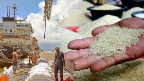 চাল আমদানির দরপত্রে সময়সীমা কমানোর সিদ্ধান্ত