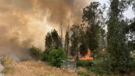 ফ্রান্সে ভয়াবহ দাবানল, ঘর ছাড়া হাজারো মানুষ