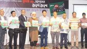 গণঅভ্যুত্থানে অবদানের স্বীকৃতি চেয়েছেন প্রবাসী জুলাই যোদ্ধারা 