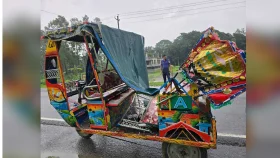 গফরগাঁওয়ে ট্রাকচাপায় ২ অটোরিকশা যাত্রী নিহত