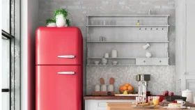 ফ্রিজের ওপরে এই ৯ জিনিস একদমই রাখা উচিত নয়