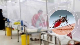 ডেঙ্গুতে হাসপাতালে ভর্তি ১৯০