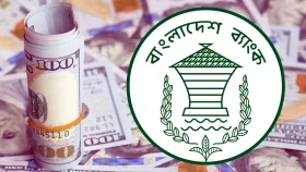 দেশে বৈদেশিক মুদ্রার রিজার্ভ ৩০ দশমিক ২৪ বিলিয়ন ডলার