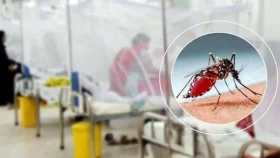 ডেঙ্গুতে মৃত্যু ১, হাসপাতালে ভর্তি ৩৮২