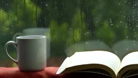 বৃষ্টিতে ঘরে বসেই সময় কাটাবেন যেভাবে