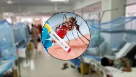 ডেঙ্গু আক্রান্ত হয়ে হাসপাতালে ভর্তি আরও ২৫২
