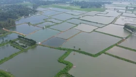 তাড়াশে অবাধে পুকুর খনন, কমছে কৃষি জমি